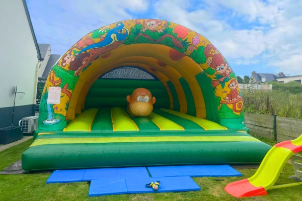 Jeu gonflable Singe - Location de Barnum Hugo Roué 29