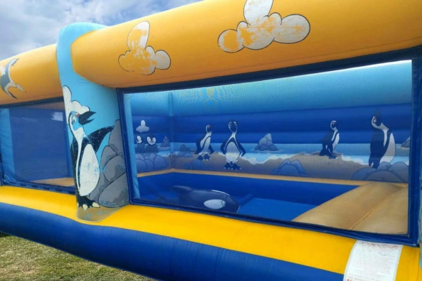 Piscine à balles - Jeux gonflables - Location de Barnum Hugo Roué 29